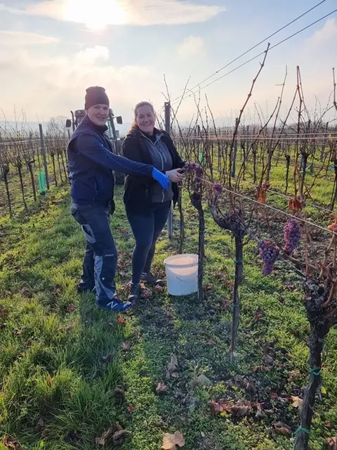 Weingut Schachl | Foto: zVg