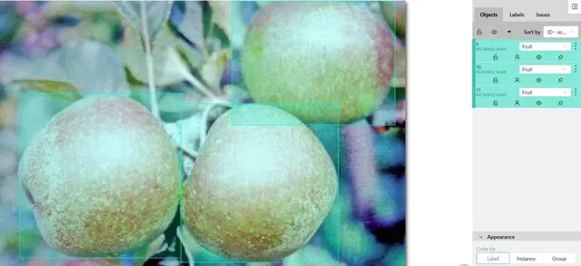 Äpfel erkennen - aber auch in verschiedenen Farben, Formen und Größen - wäre ohne KI-Trainingsbilder unmöglich. | Foto: RAS GmbH