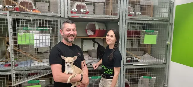 Jährlich kümmert man sich im Tierheim um rund 1.000 Tiere in Not.  | Foto: Arche Noah