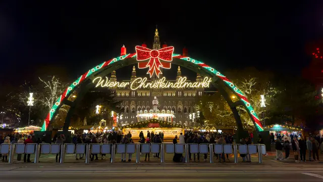 Die Wiener Christkindlmärkte, vor allem jener am Rathausplatz, locken jedes Jahr tausende Besucherinnen und Besucher an. (Archivfoto) | Foto: Panthermedia/OlenaLichman