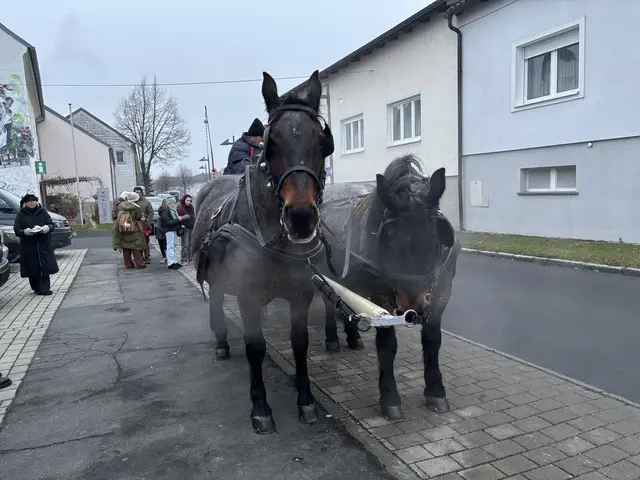 Foto: Rosenberger Victoria/MeinBezirk