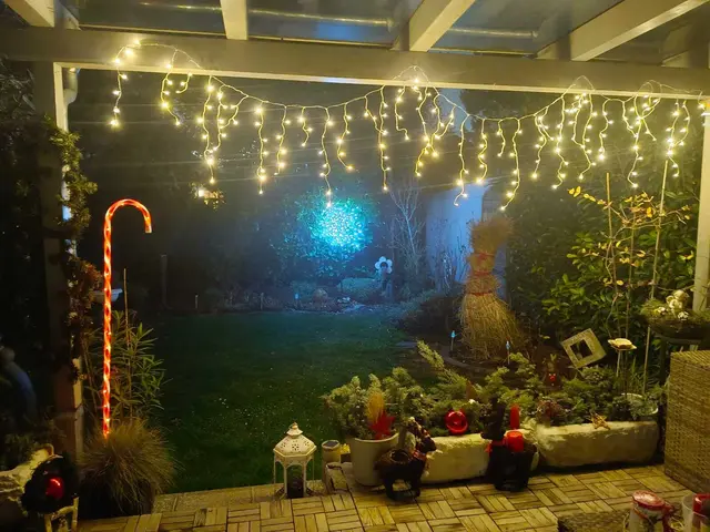 MeinBezirk hat die schönste Weihnachtsdeko im Bezirk gesucht. Bei Ursula I. leuchtet es in ihrem Garten in Aspern. | Foto: Ursula I.