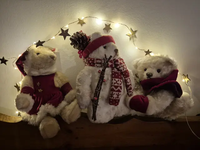 Günther H. hat die Weihnachtsbären aus dem Winterschlaf geweckt. | Foto: Günther H.