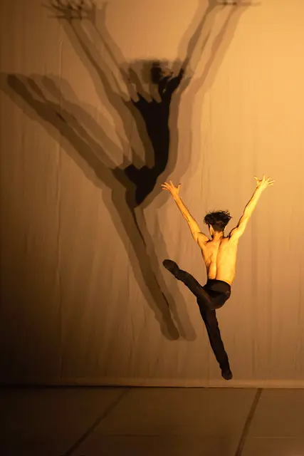 Foto: BBL - Gregory Batardon