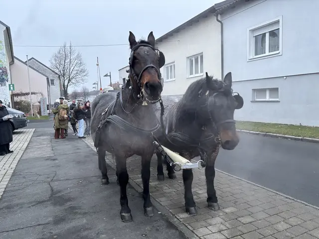 Foto: Rosenberger Victoria/MeinBezirk