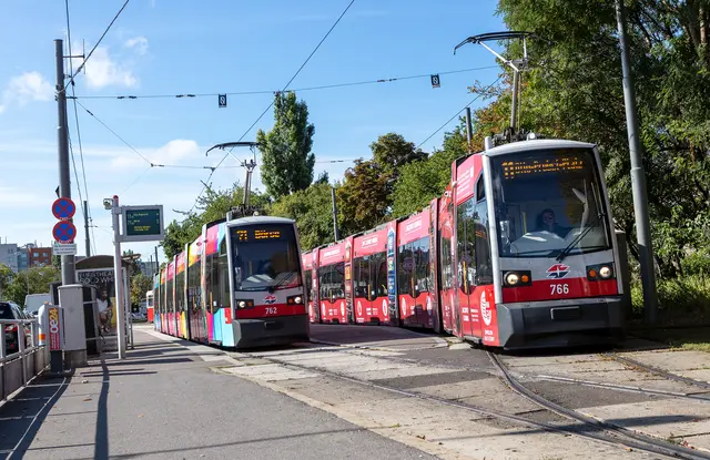 Sowohl die Linie 71 als auch die Linie 11 sind am Mittwoch nur verkürzt unterwegs. (Archivbild) | Foto: Manfred Helmer/Wiener Linien