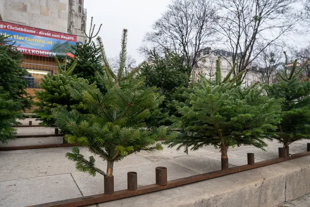 Foto: Valentina Marinelić/MeinBezirk