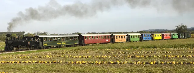 Der Stainzer Flascherlzug ist ein gerne besuchtes Ausflugsziel. | Foto: Steiermark Tourismus/Gery Wolf