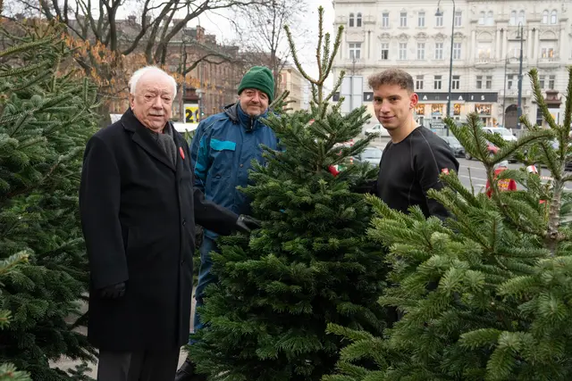 Seit 2020 gibt es Christbaumspenden an die Wiener Volkshilfe. | Foto: Valentina Marinelić/MeinBezirk