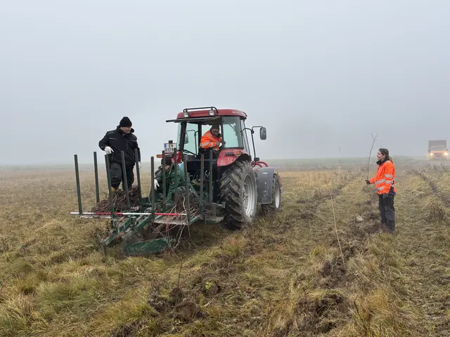 In Heiligenkreuz im Lafnitztal pflanzte der Naturschutzbund gemeinsam mit Partnern rund 1.000 Heckensträucher, die der Wildkatze das Queren von offenen Landschaftsteilen ermöglichen | Foto: Josef Schuh