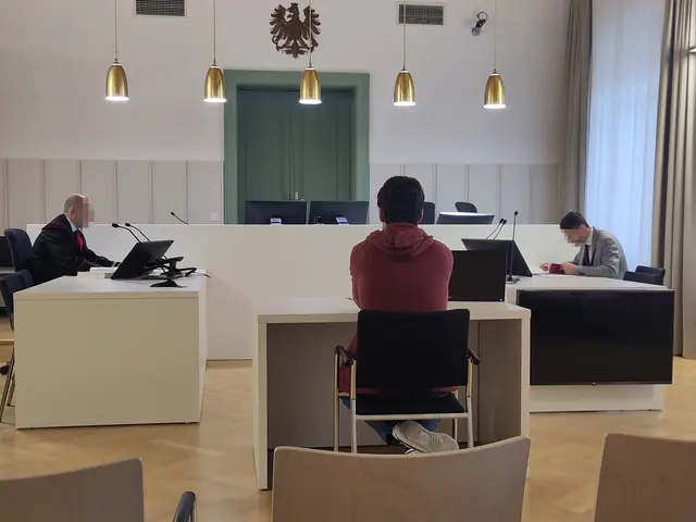 Der St. Pöltner gestand seine Tat am Landesgericht St. Pölten. | Foto: privat