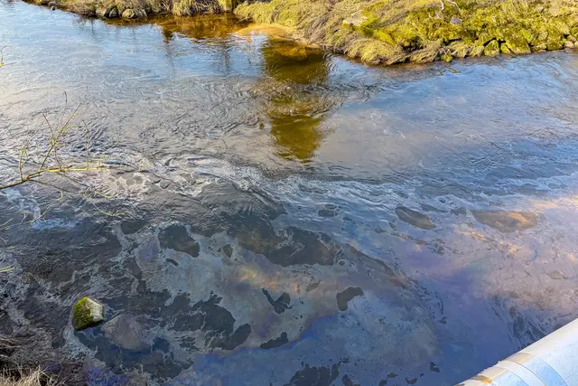 Ein Ölfilm war auf der Großen Mühl zu sehen. | Foto: Fotokerschi/Franz Plechinger