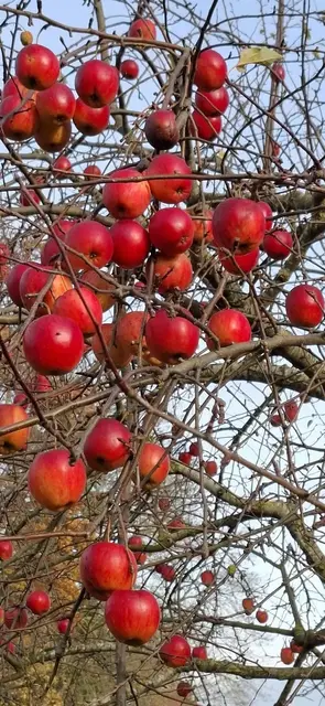 November | Foto: Christine Zauner