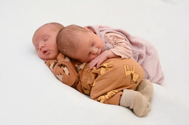 Namen: Selina und Paul
Geburtsdatum: 07.12.2025
Geburtsgewicht: 2.900 g / 3.280 g
Größe: 50 cm / 48 cm
Namen: Tanja und Thomas Kaiser aus Mautern | Foto: Babysmile