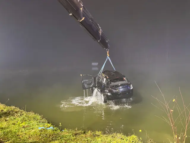 Die 68-Jährige konnte sich selbst und ihren Hund aus dem Fahrzeug befreien. Nachfolgende Fahrzeuglenker verständigten die Rettungskräfte. | Foto: FF Pistorf