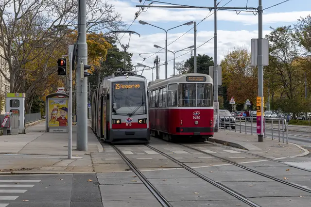 Auch wenn man selbst nicht mit den Öffis unterwegs ist, sollte man der Straßenbahn genug Platz lassen. (Archiv) | Foto: Manfred Helmer/Wiener Linien
