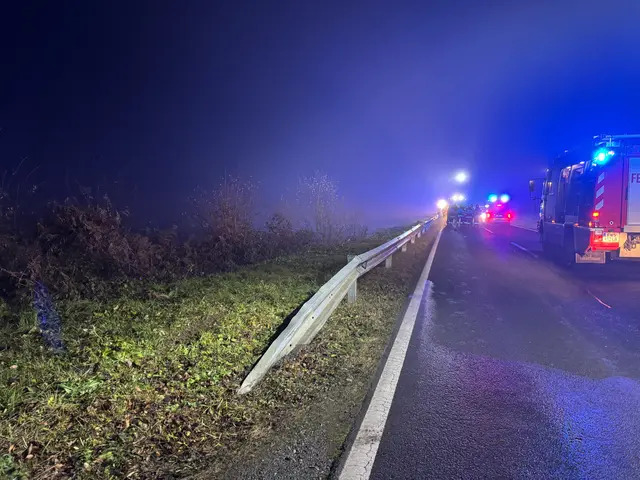  Die Oberösterreicherin war mit ihrem Pkw auf der L 303 von St. Andrä kommend in Fahrtrichtung Pistorf unterwegs. Aus bislang unbekannter Ursache kam sie auf Höhe Straßenkilometer 27,9 rechts von der Fahrbahn ab und fuhr auf die dort befindliche Leitschiene auf.  | Foto: FF Pistorf