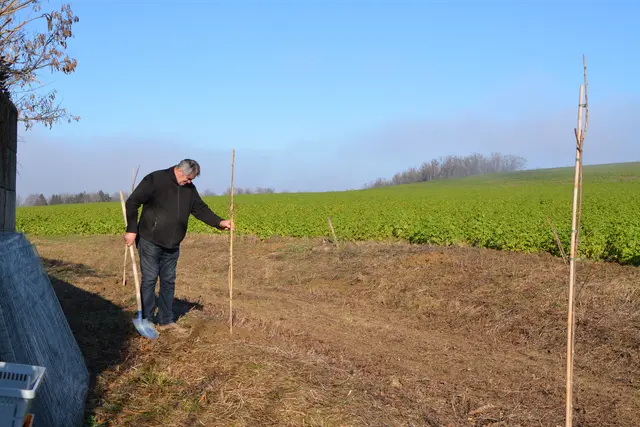 Foto: Rosenberger Victoria