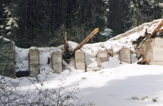 Hochwasserschutz fungiert als Lawinenschutz | Foto: Kettl