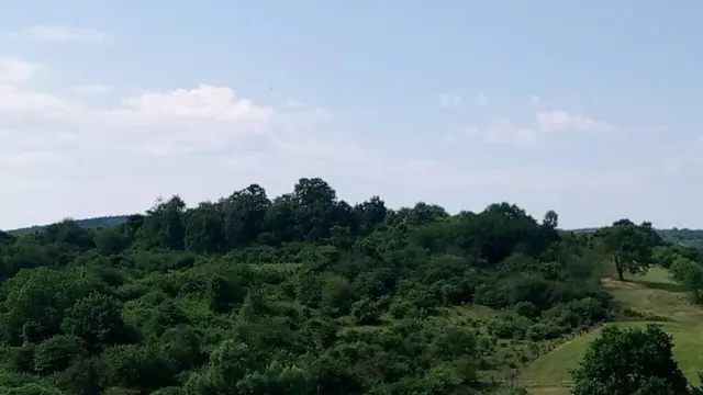 Verbuschter pannonischer Halbtrockenrasen am Wieserberg / Rohrbach vor der Entbuschungsaktion. | Foto: Naturpark Rosalia-Kogelberg