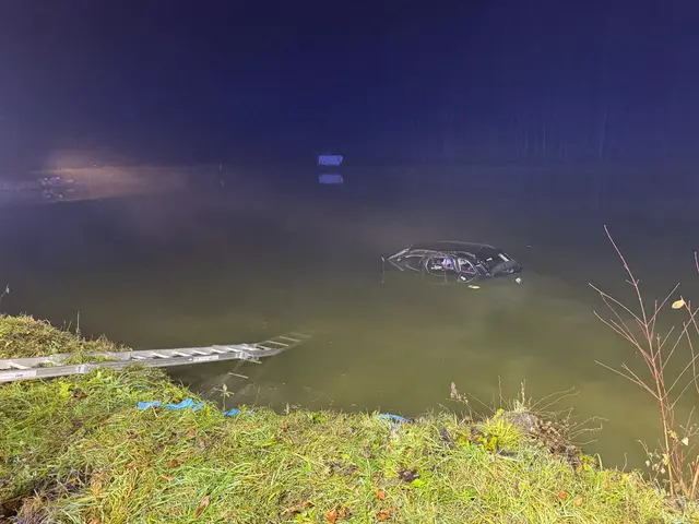 Das Fahrzeug überschlug sich und kam im angrenzenden Fischteich zum Stillstand, wo der Pkw fast zur Gänze versank.  | Foto: FF Pistorf