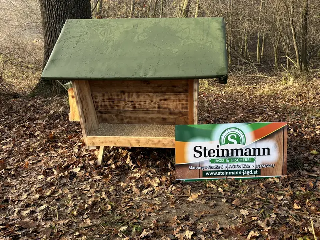 Foto: MeinBezirk/Leonie Herrmann