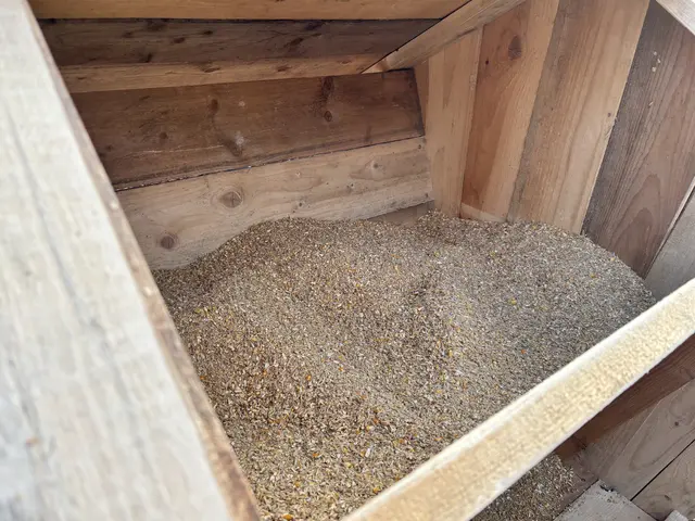 Foto: MeinBezirk/Leonie Herrmann