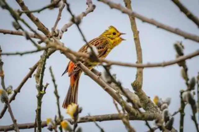 März | Foto: Richard Mayr