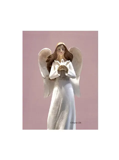 Geschichte, Christkind auf der Suche nach dem Weihnachtsfrieden