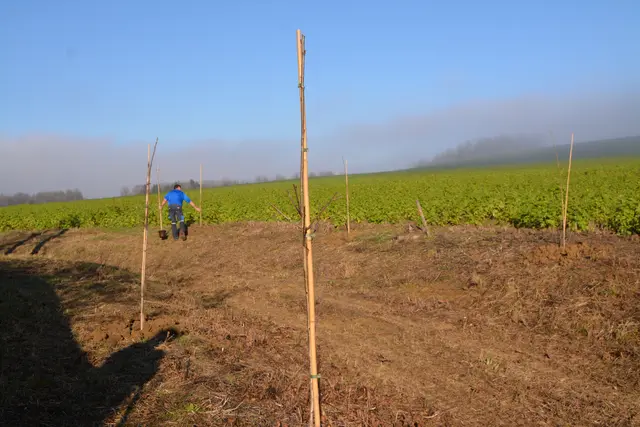 Foto: Rosenberger Victoria