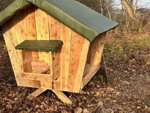 Neben dem normalen Futter steht den Tieren auch ein Salzstein zur Verfügung. | Foto: MeinBezirk/Leonie Herrmann