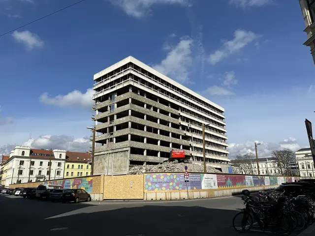 Auch die letzten Reste der Vorklinik fanden den Weg in die Sammlung (2024).  | Foto: Antonia Nussmueller