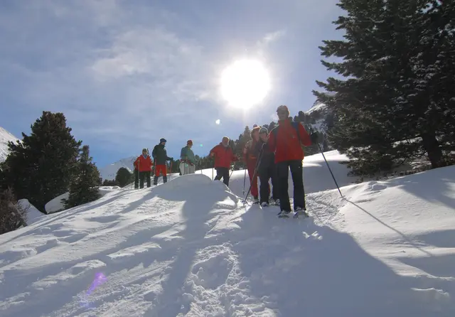 Auch im Naturpark Ötztal werden geführte Schneeschuhwanderungen angeboten. | Foto: Archiv Naturpark Ötztal