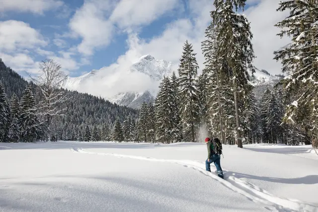 Im Naturpark Karwendel finden ebenfalls in regelmäßigen Abständen geführte (Schneeschuh-)wanderungen mit unterschiedlichen Themenschwerpunkten statt. | Foto: TVB Achensee