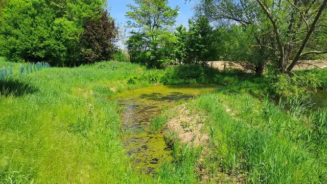 Anlage eines naturnahen Amphibiengewässers in Pöttelsdorf inklusive Pflanzung von Bäumen und standortgerechten Sträuchern. | Foto: Naturpark Rosalia-Kogelberg