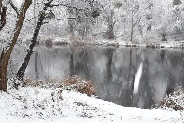 Das Schillwasser und die Alte Donau laden zum gemeinsamen Sprung ins kühle Nass. | Foto: Café Schillwasser