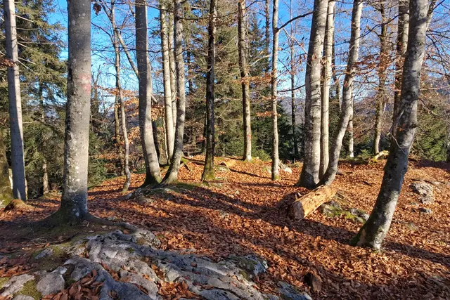  Herbst oder doch Winter?