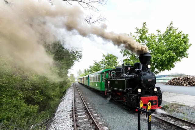 Der Flascherlzug ist ein „Stück steirischer Seele“.  | Foto: Foto Augenblick