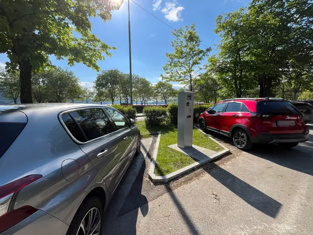 Seit der Einführung der Parkgebühr in der Ostbucht am 1. Juni 2025 kam es zu zahlreichen unerwarteten Strafzetteln. | Foto: MeinBezirk/Michael Kurz