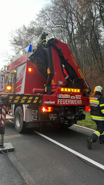 Insgesamt standen 19 Einsatzkräfte im Einsatz. | Foto: FF Fresing-Kitzeck