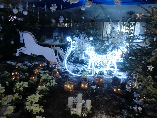 Foto: elviras kunst & kunsttreff wien