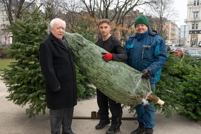 Seit 2020 werden Christbaumspenden an die Wiener Volkshilfe übergeben. Auch in diesem Jahr findet die Aktion wieder statt. | Foto: Valentina Marinelić/MeinBezirk