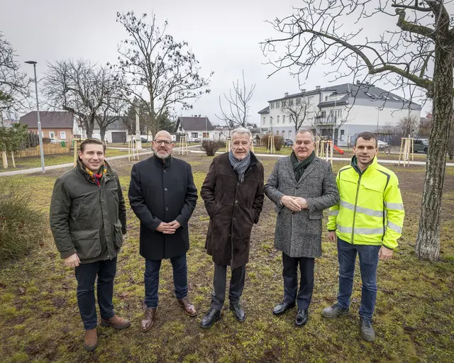Grünraum Stadt Wiener Neustadt-Leiter Florian Fux, Umweltstadtrat Norbert Horvath (SPÖ), Bürgermeister Klaus Schneeberger, Stadtrat Franz Dinhobl (beide ÖVP) und Michael Riegler (Grünraum) im neuen "Josefspark", wo 30 Bäume gepflanzt wurden. | Foto: Stadt Wiener Neustadt/Weller