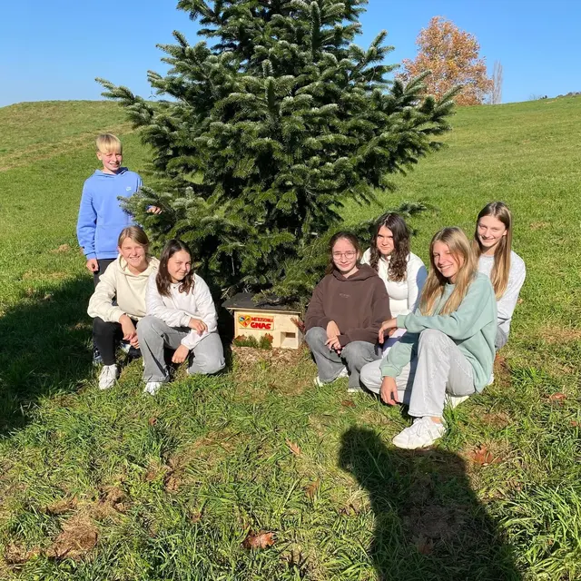 Die 3a-Klasse baute im Werkunterricht ein Igelhaus. | Foto: Facebook Mittelschule Gnas