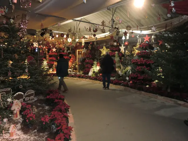 Foto: elviras kunst & kunsttreff wien