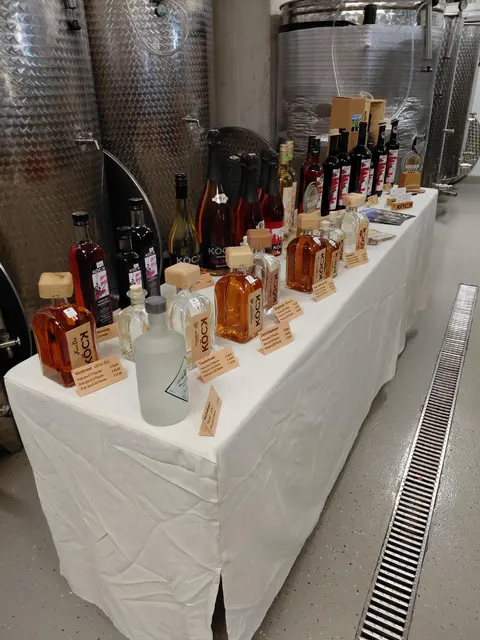 Foto: (c) hlwspittal 2025, Scherzer