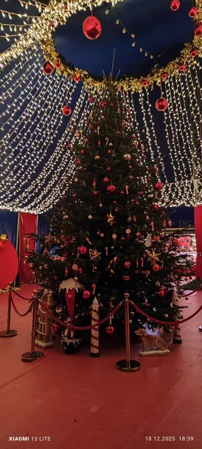 Der neue Weihnachtsbaum | Foto: Mauthausen Tourismus