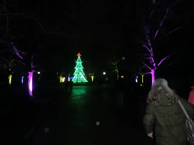 Foto: elviras kunst & kunsttreff wien