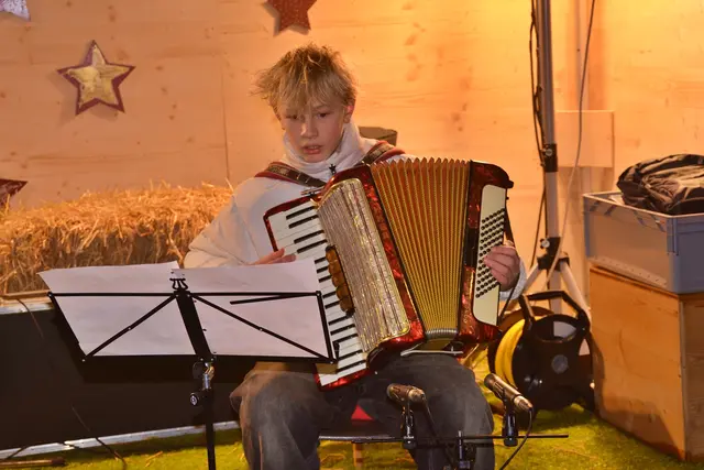 Johannes Mayer (Akkordeon)