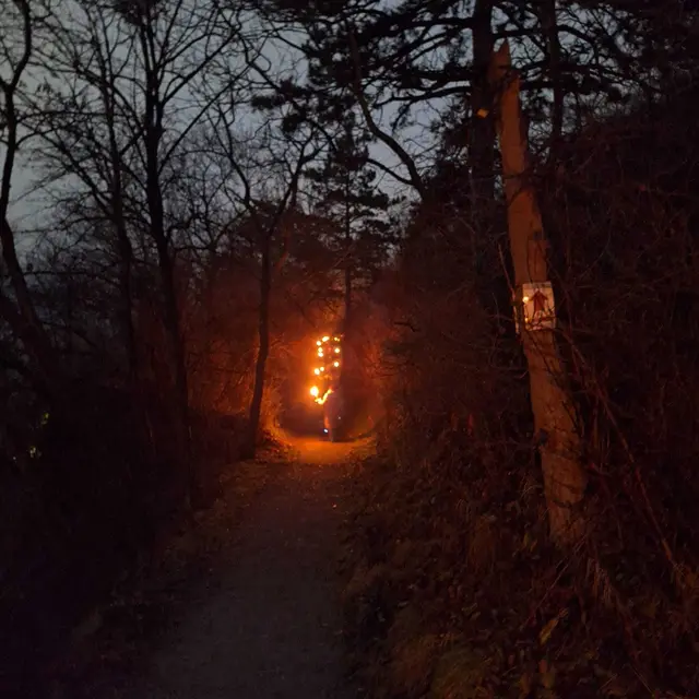 Die Route führte auf den Hainburger Schlossberg. | Foto: Gesunde Gemeinde Hainburg